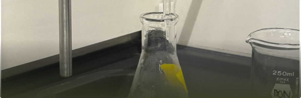 Project Card – Diels-Alder Reaction