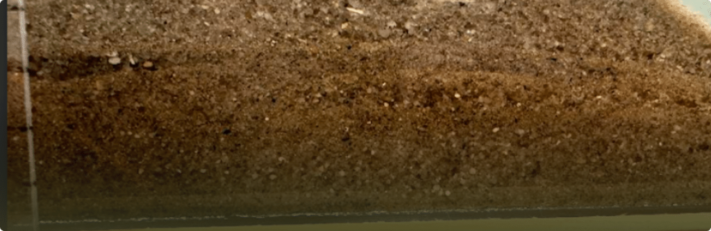 Project Card – Sediment Transport